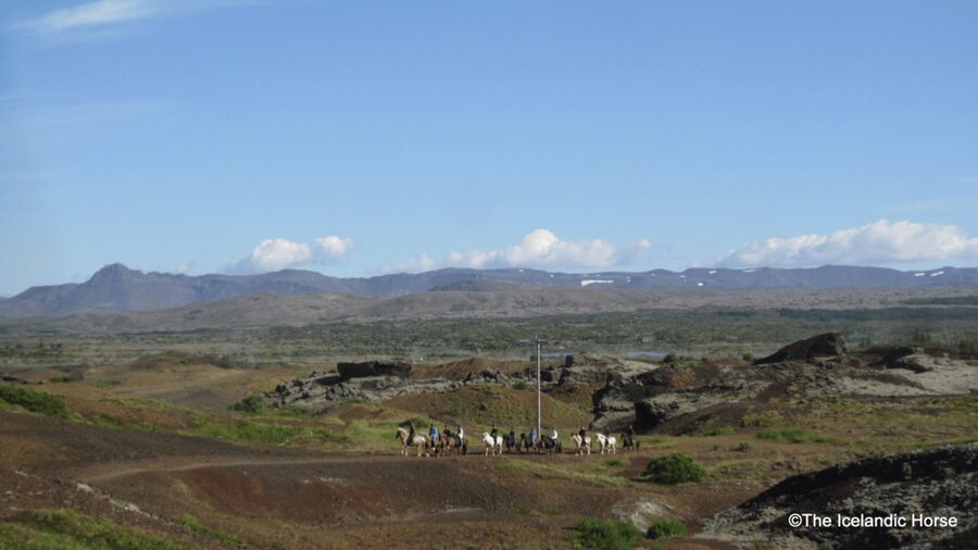 Reykjavík: Horse Riding Tours - Who will enjoy this ride most