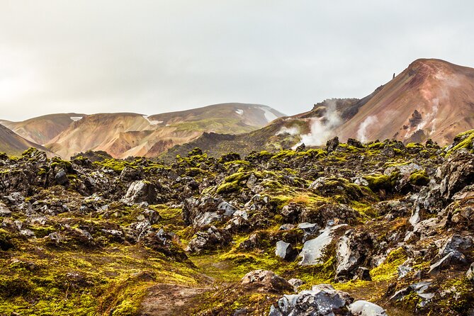 Reykjavík: Landmannalaugar & Icelandic Highlands Super Jeep Tour - Is $276.95 good value?
