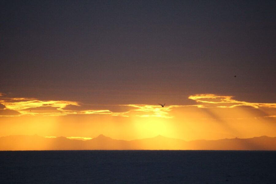 Reykjavík: Midnight Sun Whale Watching Cruise - Leaving Reykjavík at 9 PM