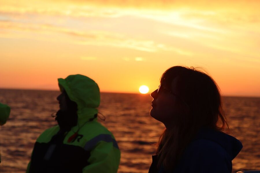Reykjavík: Midnight Sun Whale Watching Cruise - Practical tips for a better evening