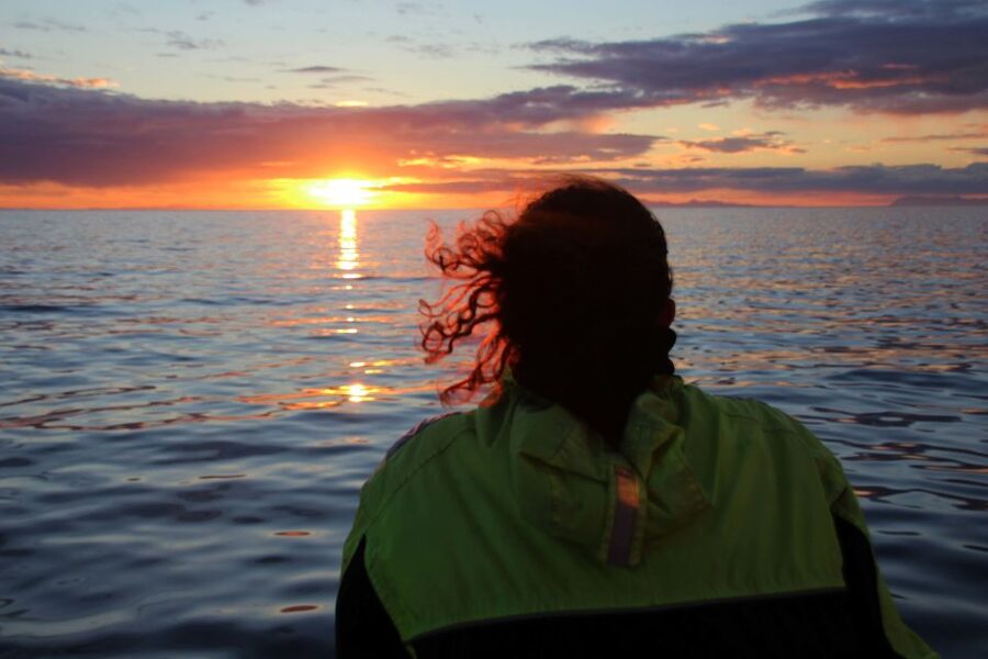 Reykjavík: Midnight Sun Whale Watching Cruise - Booking, cancellations, and timing