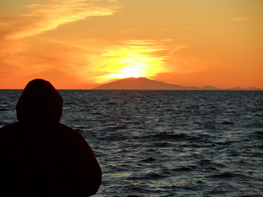 Reykjavik: Midnight Sun Whale Watching Tour - Three Hours Across Southern Faxaflói Bay