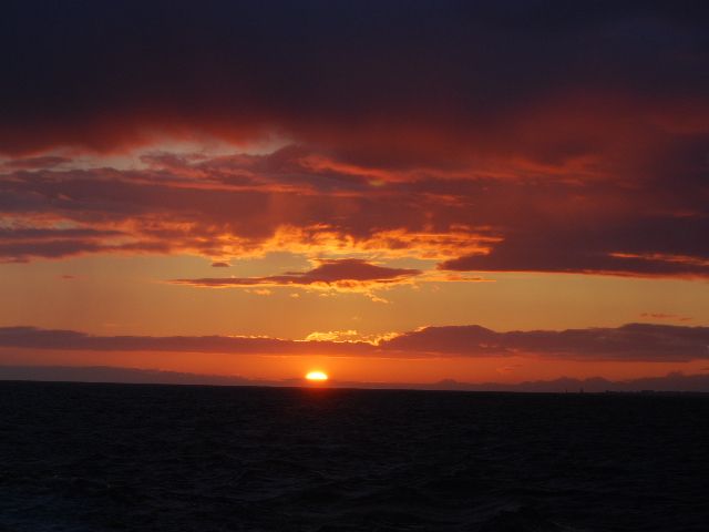 Reykjavik: Midnight Sun Whale Watching Tour - Who Will Enjoy This Evening Cruise