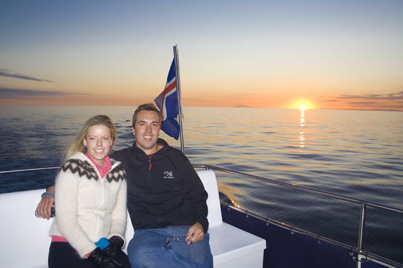 Reykjavik: Midnight Sun Whale Watching Tour - The Wildlife You May See