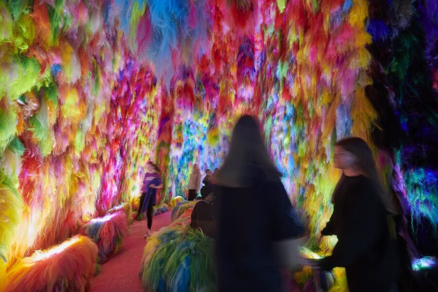 Reykjavík: Multi-Sensory Art Installation Chromo Sapiens - How much time should you allow?