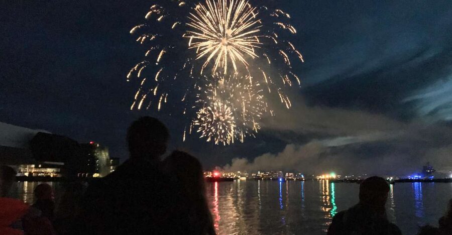 Reykjavik: New Year's Eve Fireworks Cruise - Key points at a glance