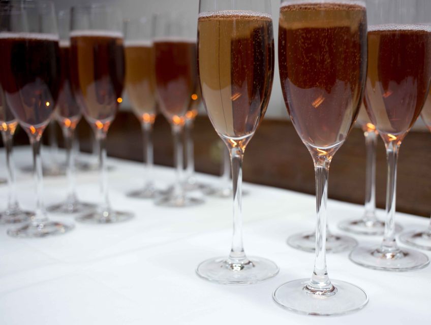 Reykjavik: New Year's Eve Fireworks Cruise - Who should book this cruise?