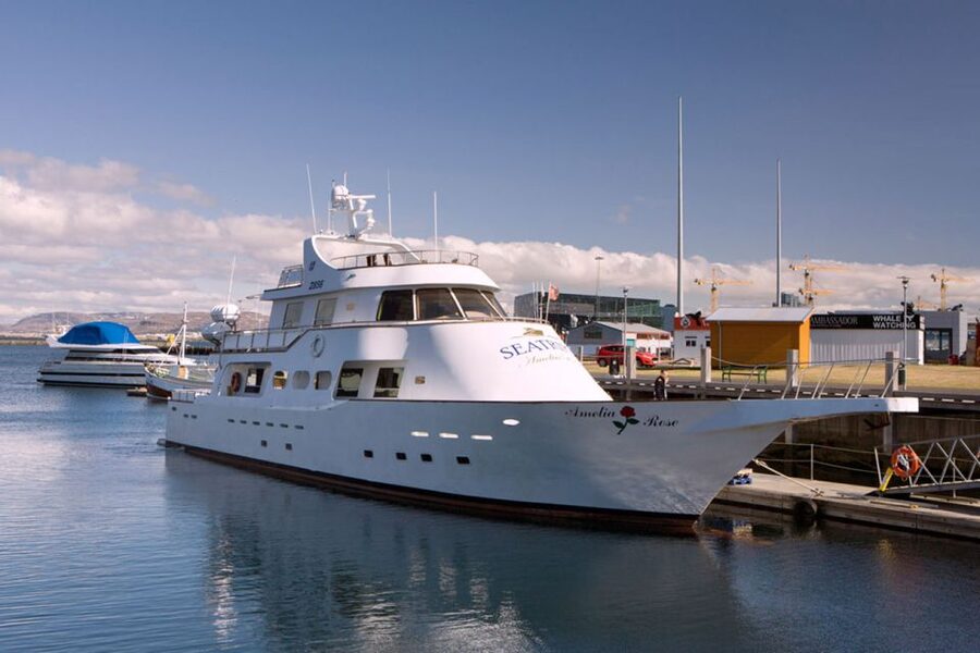 Reykjavik: New Years Fireworks Midnight Cruise - Who will enjoy this New Year cruise?