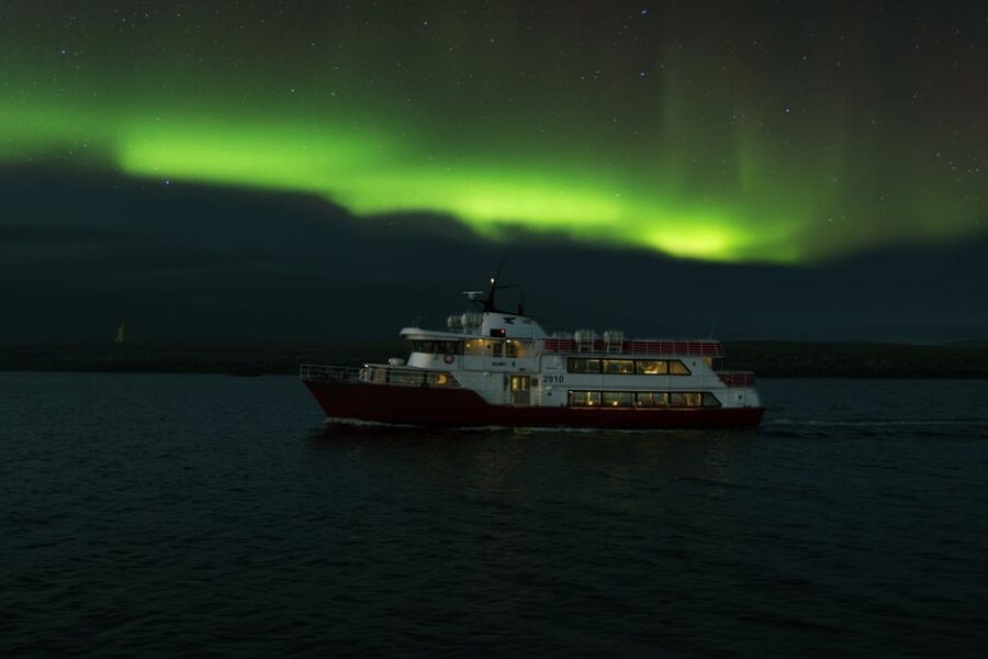 Reykjavík: Northern Lights Cruise - Who should choose this cruise