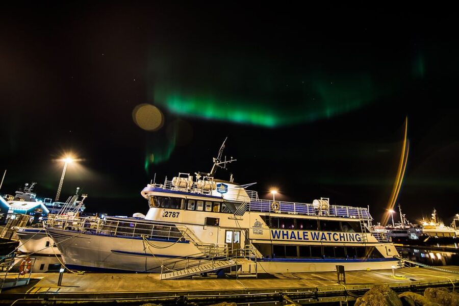 Reykjavik: Northern Lights Guided Boat Tour - Guides who turn waiting time into part of the evening