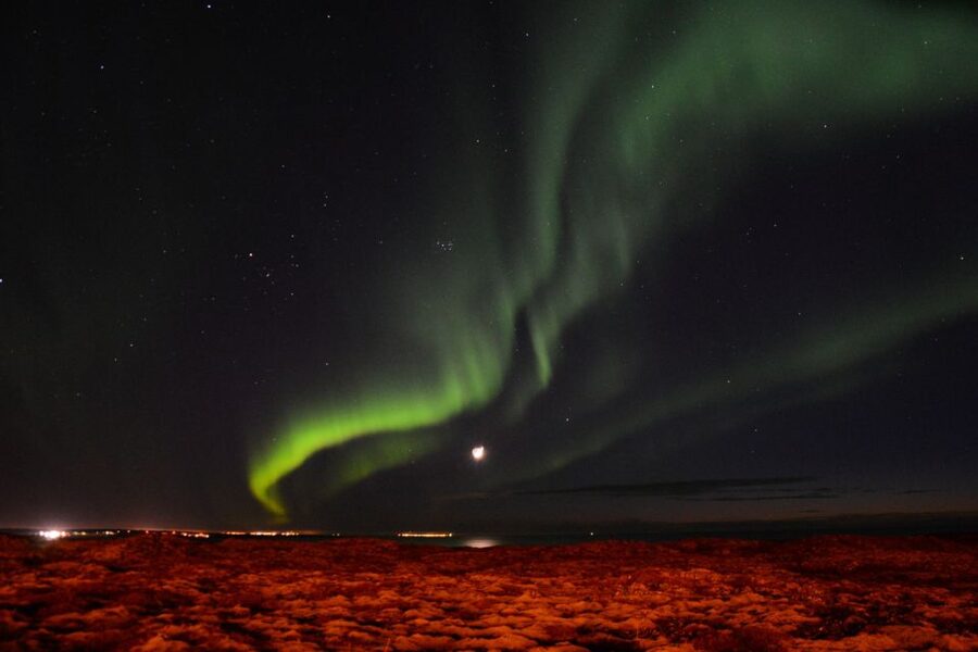 Reykjavik: Northern Lights Motor Yacht Cruise - Comfort, drinks, and the wait between sightings