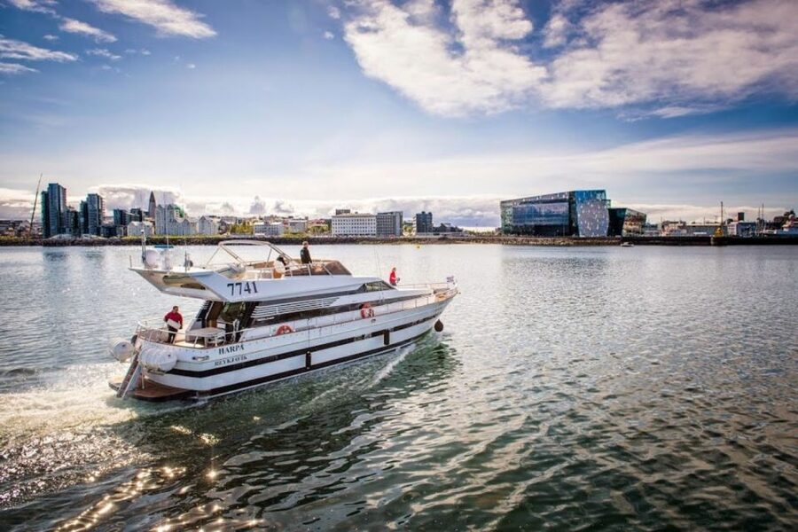 Reykjavik: Northern Lights Motor Yacht Cruise - The $99 price and what you receive