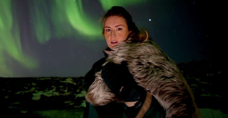Reykjavik: Northern Lights Tour w/Pro Photos - Small Group - Why the minibus changes the evening