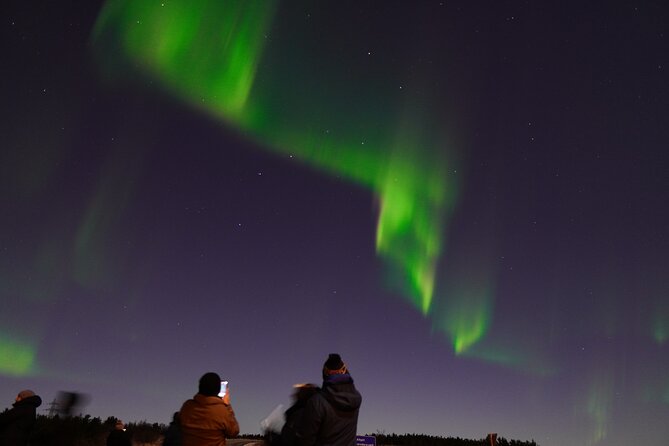 Reykjavik Northern Lights Tour with Pro Aurora Photos Small Group - The human side: guides, stories, and Viking fun
