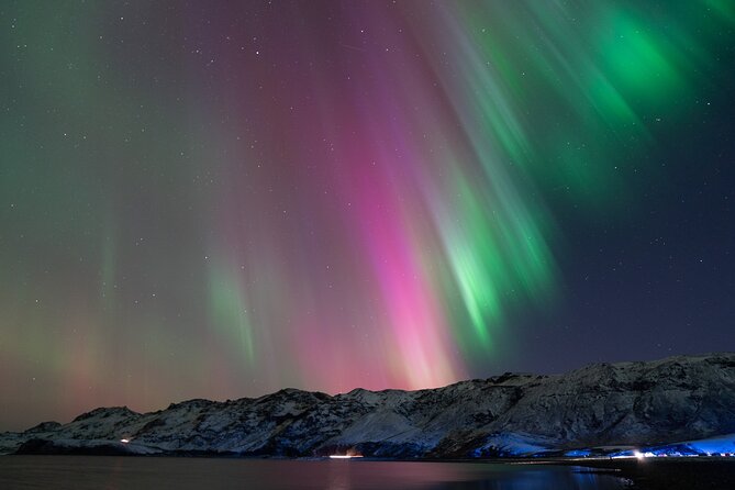 Reykjavik Northern Lights Tour with Professional Photographer - How the four-hour aurora chase works