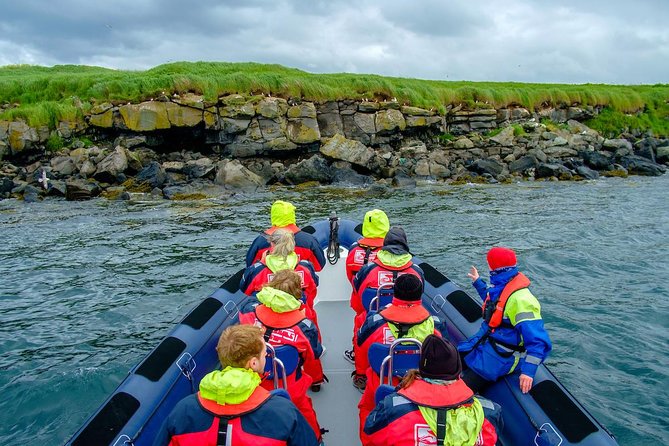 Reykjavik Premium Puffin tour | Close Up and Personal - Getting a good look at small, fast birds