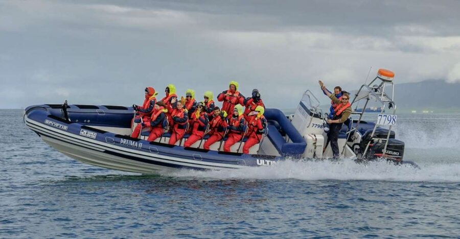 Reykjavik: Premium Whale Watching with Flexible Ticket - Key points at a glance