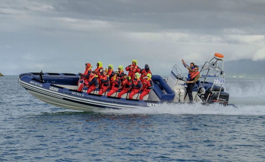 Reykjavik: Premium Whale Watching with Flexible Ticket - Leaving Reykjavík Old Harbour on a RIB