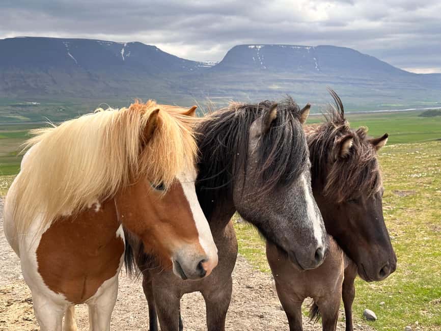 Reykjavik: PRIVATE Golden Circle tour with 5 TOP stops - Brúarfoss, the extra stop with a quieter feel