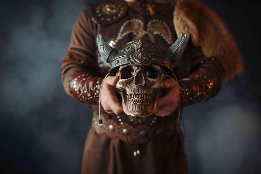 Reykjavik: Private Icelandic Viking Age Walking Tour - Who will enjoy this Viking walking tour?