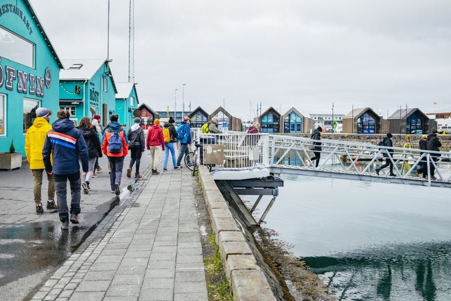 Reykjavik: Puffin Watching Boat Tour - Making the most of your puffin photos