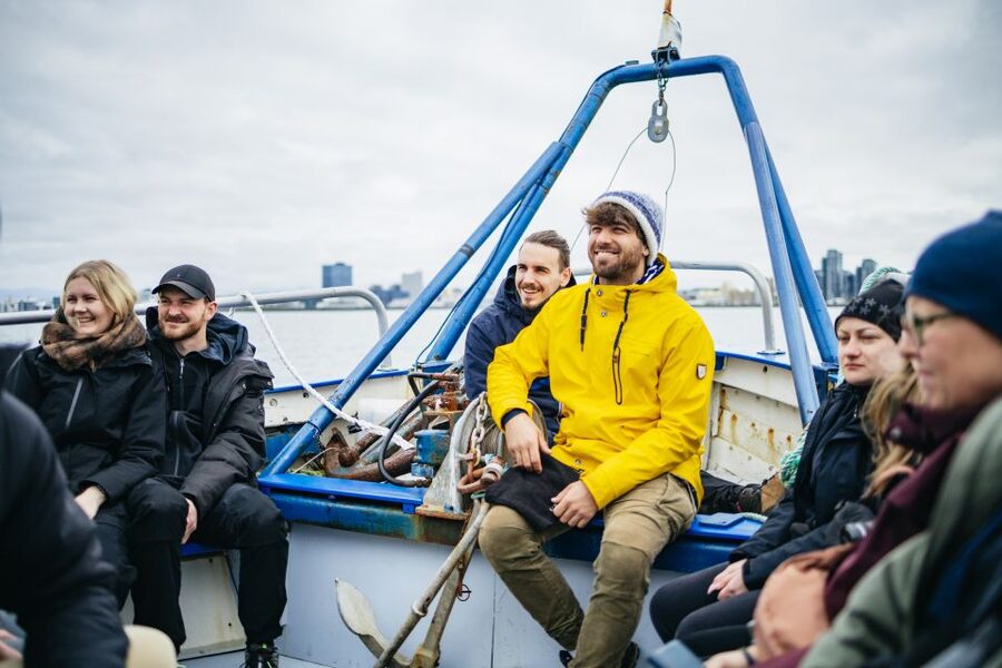Reykjavik: Puffin Watching Boat Tour - The puffins and their seabird neighbors