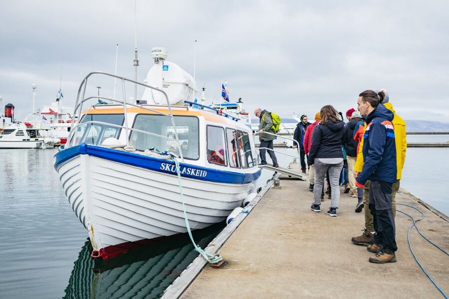 Reykjavik: Puffin Watching Boat Tour - How much time do you really need?