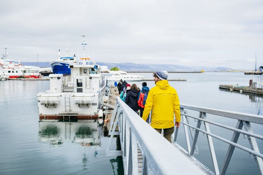 Reykjavik: Puffin Watching Boat Tour - Is the $64 price fair?