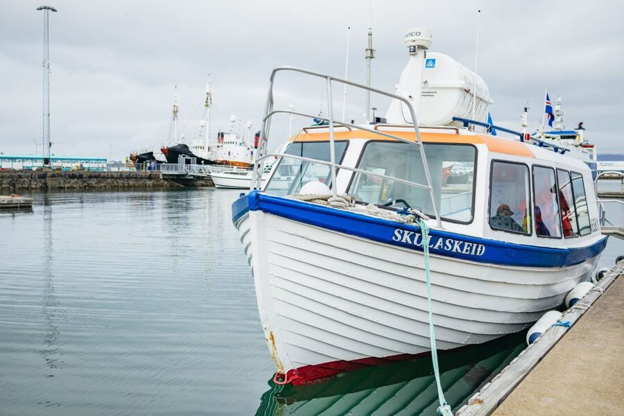 Reykjavik: Puffin Watching Boat Tour - Choosing the best departure time