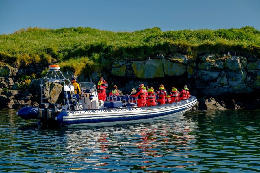 Reykjavik: Puffin Watching Tour - Key points at a glance