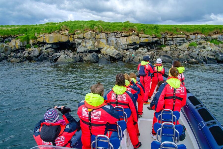 Reykjavik: Puffin Watching Tour - The RIB crossing over Faxaflói Bay
