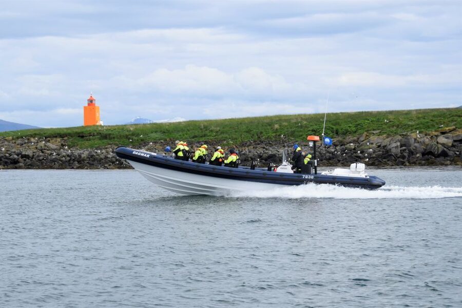 Reykjavik: Puffin Watching Tour by RIB Speedboat - Lundey and Akurey, Reykjavik’s puffin islands
