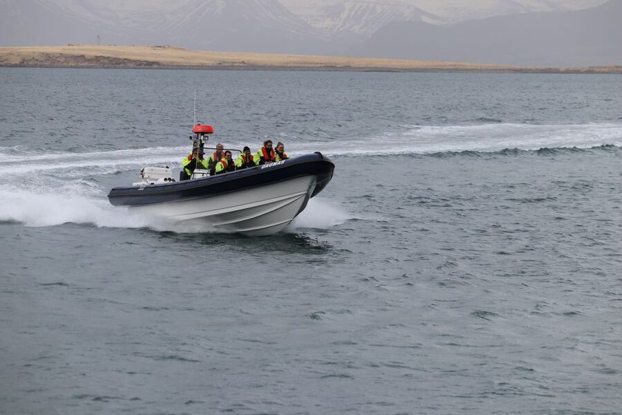 Reykjavik: Puffin Watching Tour by RIB Speedboat - Should you book the Special Tours RIB?