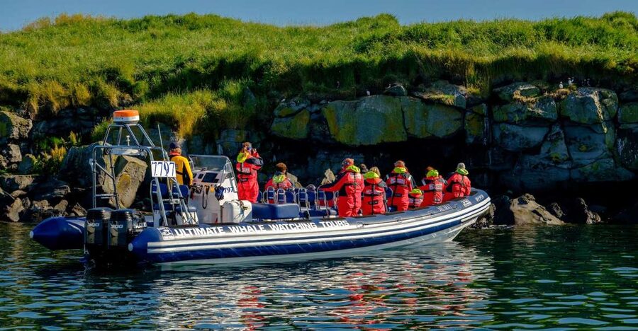 Reykjavik: Puffin Watching Tour - Why the puffin islands matter