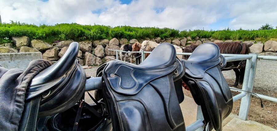 Reykjavik: Red Lava Horse Riding Tour - Transport, timing, and what the $142 price covers