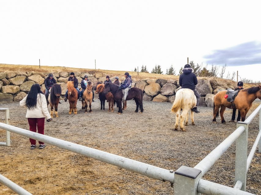 Reykjavik: Red Lava Horse Riding Tour - Best seasons and the clothing question