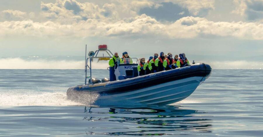 Reykjavík: RIB Speed-Boat Puffin Watching Tour - Meeting Iceland’s puffins near the islands