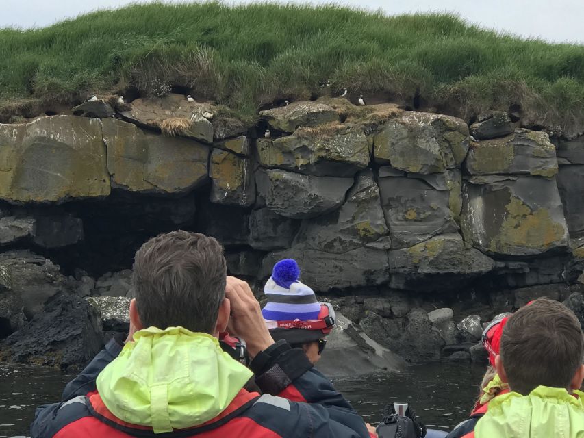 Reykjavík: RIB Speed-Boat Puffin Watching Tour - What the guide adds to the hour