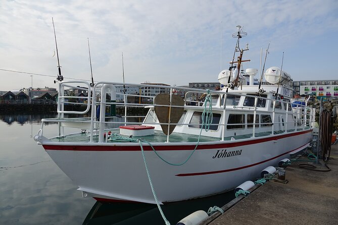 Reykjavik's Finest Catch: Guided Sea Angling Tour for All Levels - Weather, comfort, and the practical tradeoffs