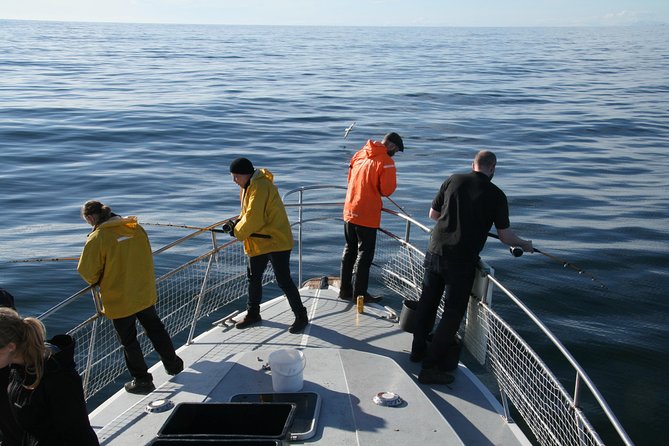 Reykjavik Sea Angling Gourmet - The best part: fish cleaned and grilled on the return