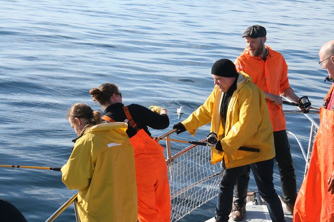 Reykjavik Sea Angling Gourmet - Faxaflói views, seabirds, and the chance of rough water