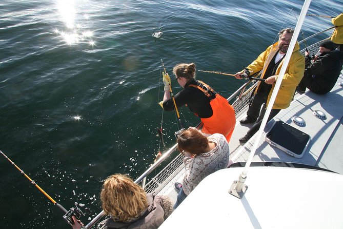Reykjavik Sea Angling Gourmet - What you might catch in Faxaflói Bay