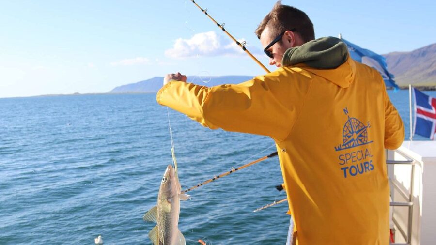 Reykjavik: Sea Fishing Boat Tour & BBQ with the Day's Catch - Turning the catch into lunch