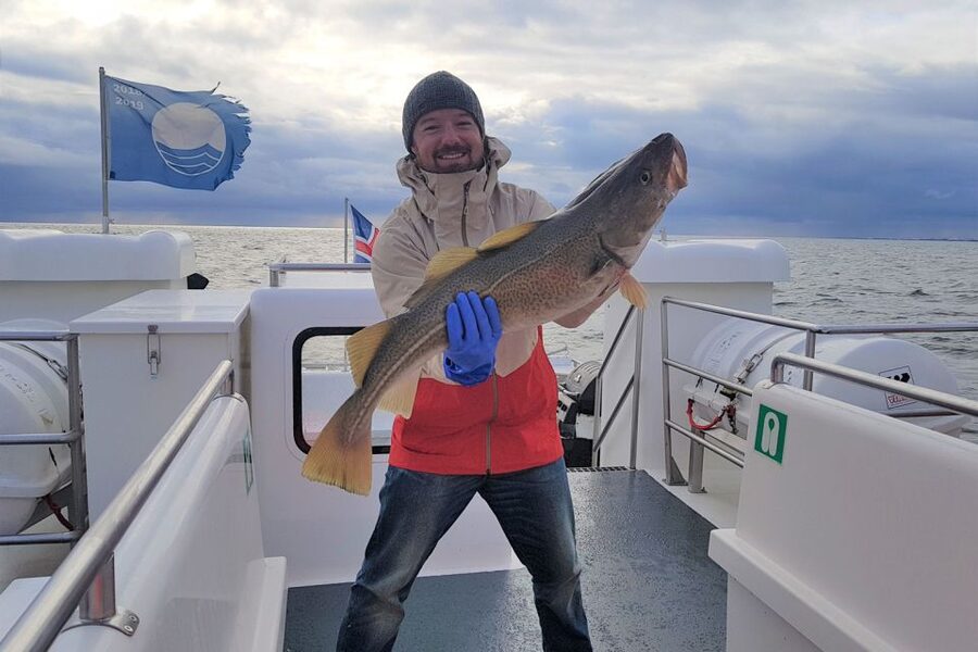 Reykjavik: Sea Fishing Boat Tour & BBQ with the Day's Catch - What the $141 price includes