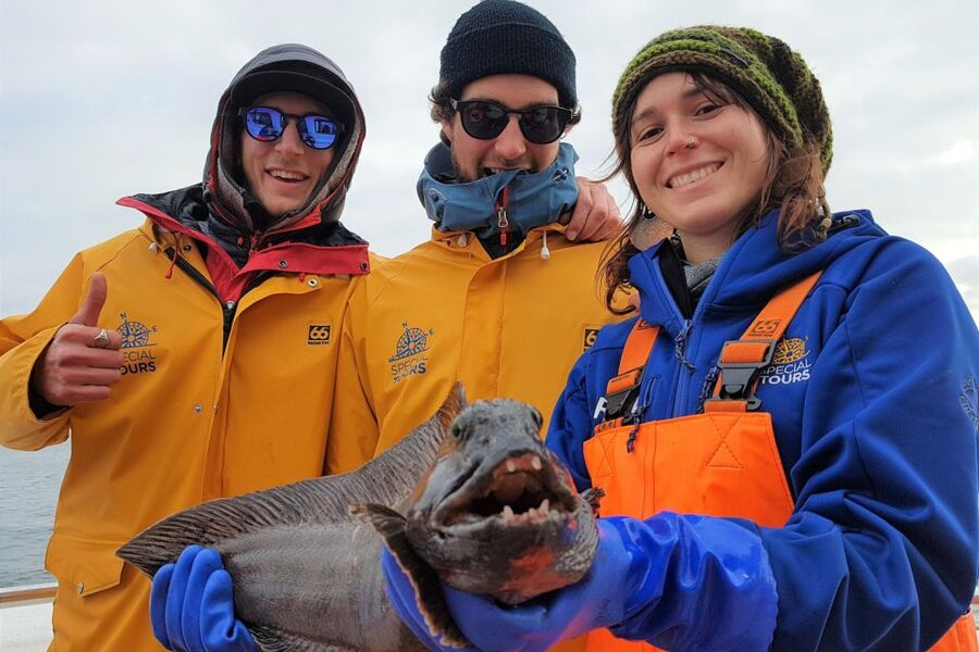Reykjavik: Sea Fishing Boat Tour & BBQ with the Day's Catch - Who will enjoy this Reykjavík fishing trip