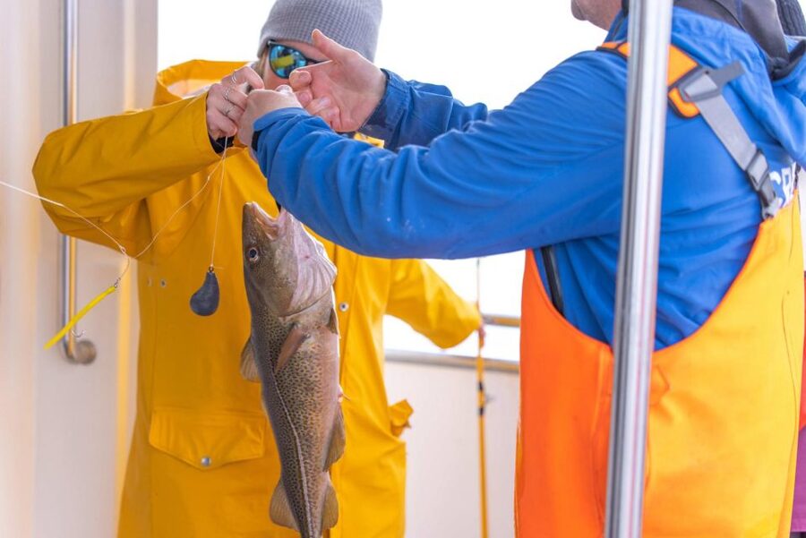 Reykjavik: Sea Fishing Boat Tour & BBQ with the Day's Catch - Finding fish in the cold water