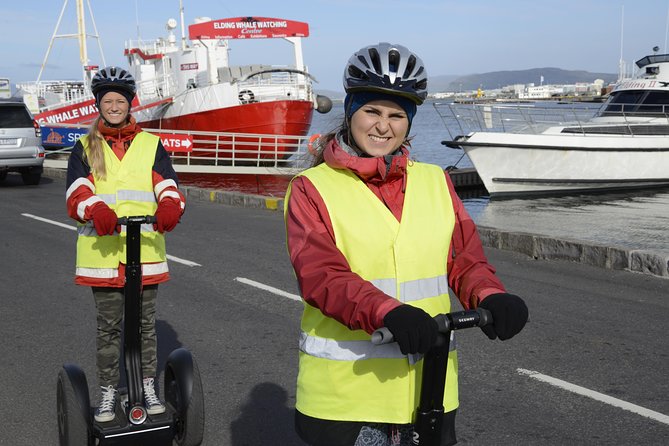 Reykjavik Segway Tour - The guide makes the difference