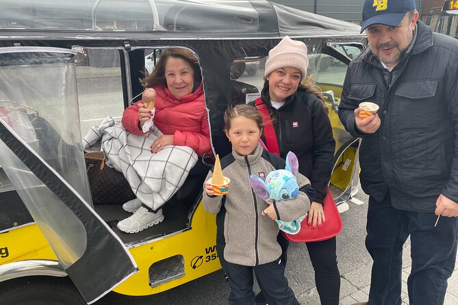 Reykjavík Shared Tuk Tuk Tour - What this one-hour tour really gives you