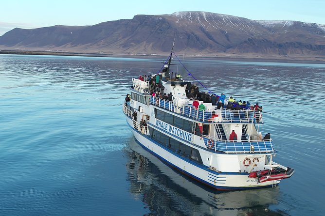 Reykjavik Shore Excursion: Whale-Watching Cruise - Booking, cancellation, and shore-day planning