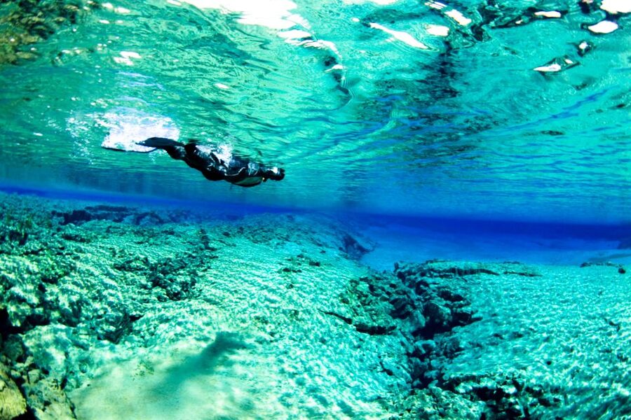 Reykjavík: Silfra Fissure Snorkeling and Lava Caving Tour - Silfra’s clear water and tectonic setting